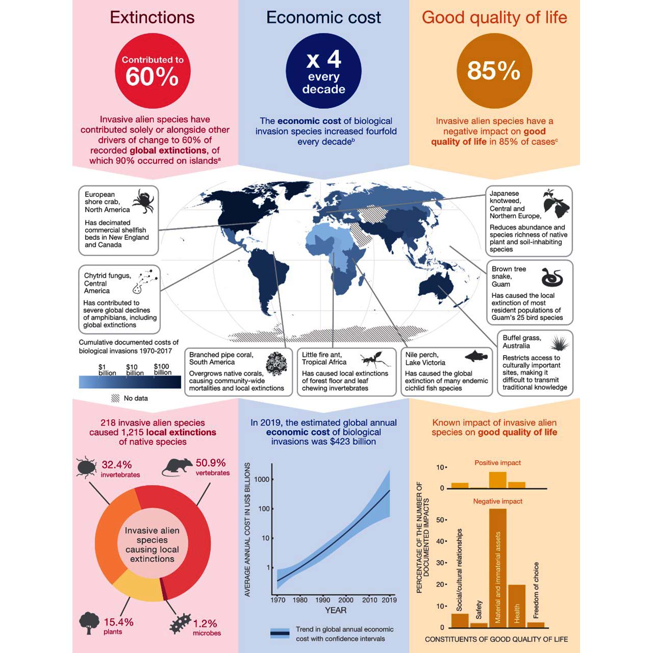 ΙΚύ: Διεθνής Έκθεση: Κίνδυνος για βιοποικιλότητα, ανθρώπινη υγεία και οικονομία τα χωροκατακτητικά είδη