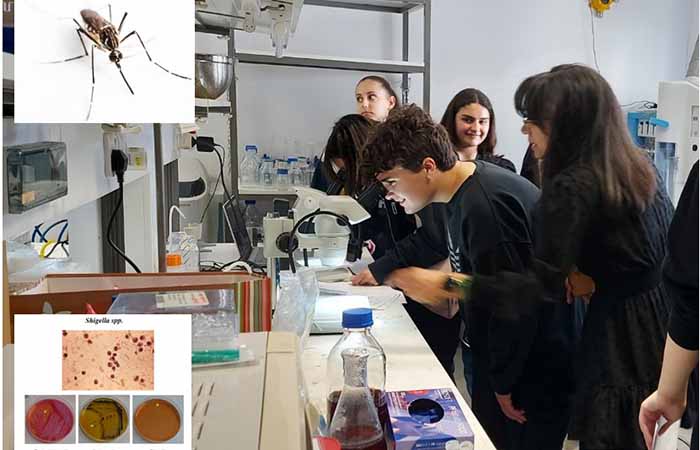 Γυμνάσιο Επισκοπής: Κλιματική Αλλαγή και Μικροοργανισμοί: Εισβλητικά κουνούπια στην Κύπρο